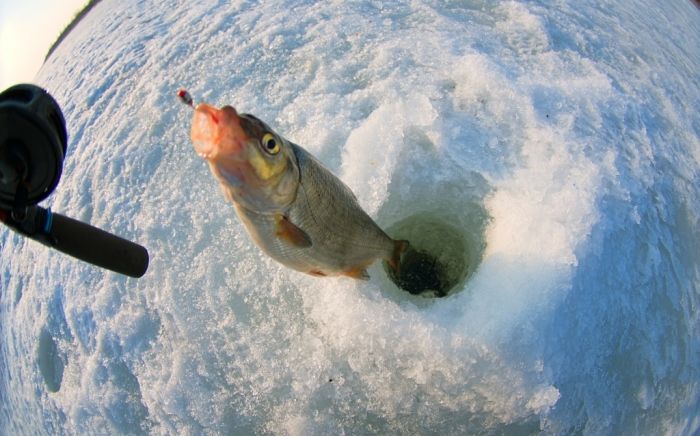 Как подобрать снасти для зимней рыбалки